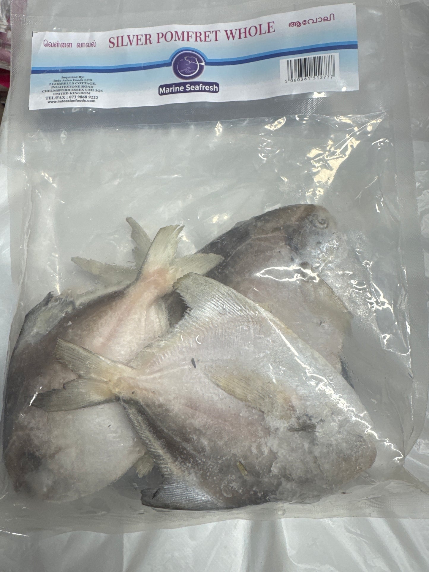 Marine Seafresh Silver Pomfret Whole