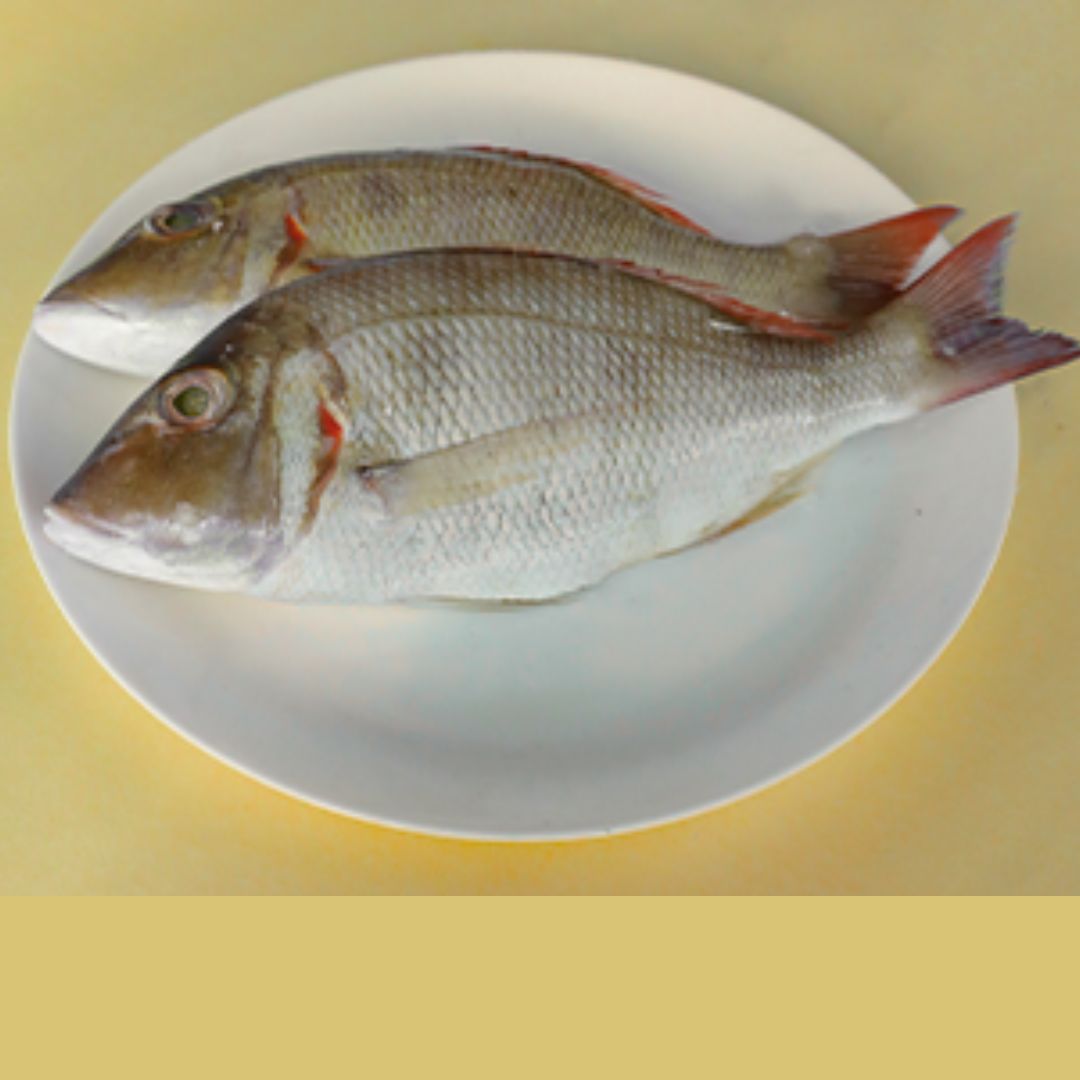 Emperor/Sheri/Vilameen 1KG