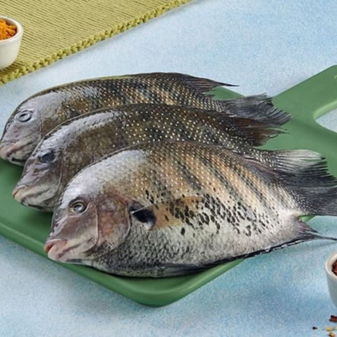 Pearl Spot / Karimeen 1Kg