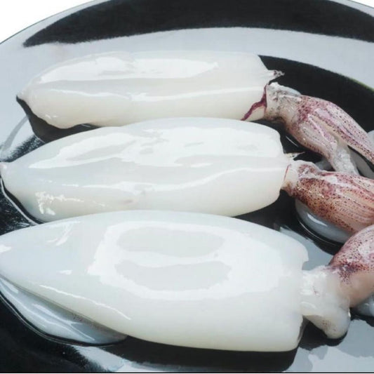 Squid 1Kg