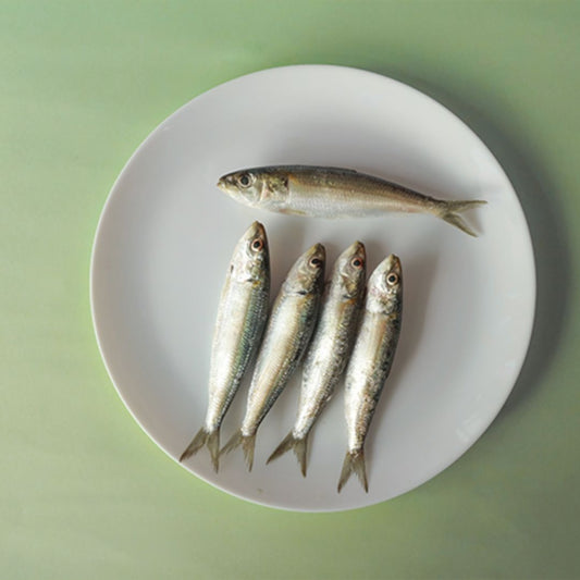 Sardine / Mathi  (Whole) 3Kg Box