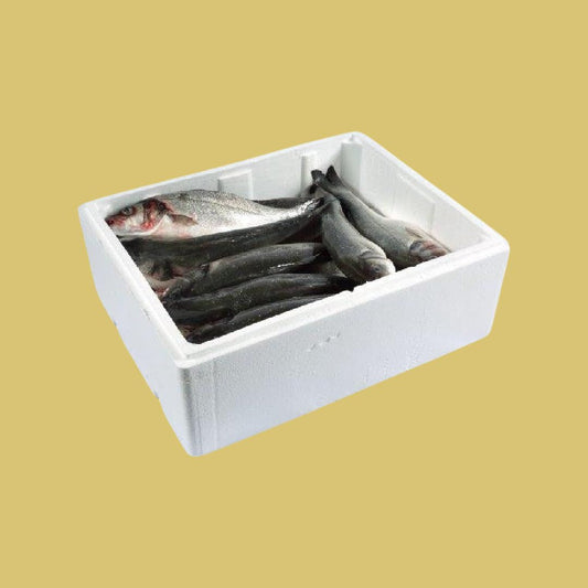 Seabass 5.5Kg box ( Cleaned )