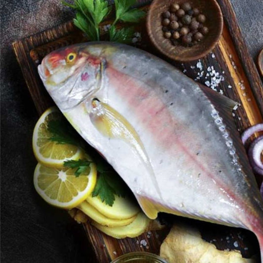 Trevally / Vatta  1KG ( size available 2kg-3kg)