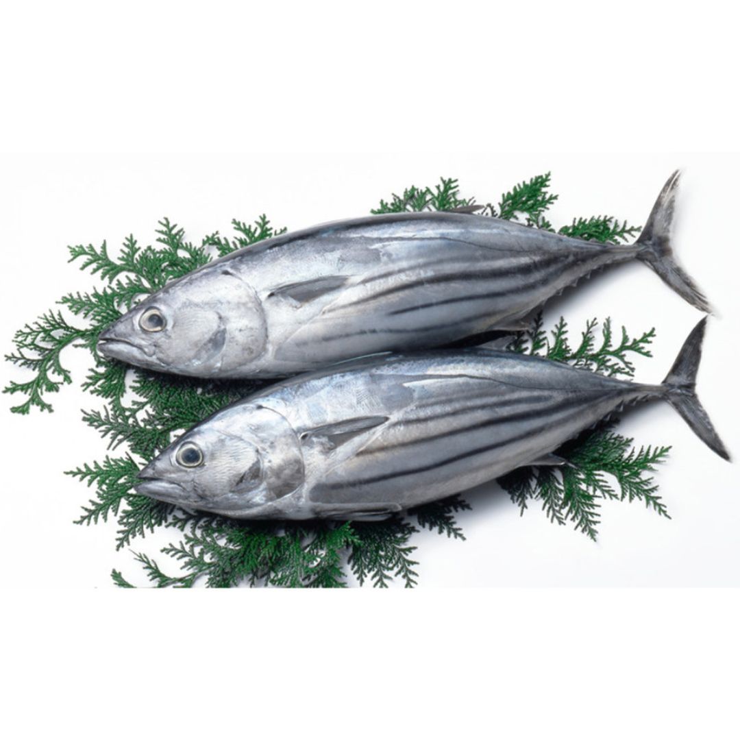 Tuna / Choora 1KG