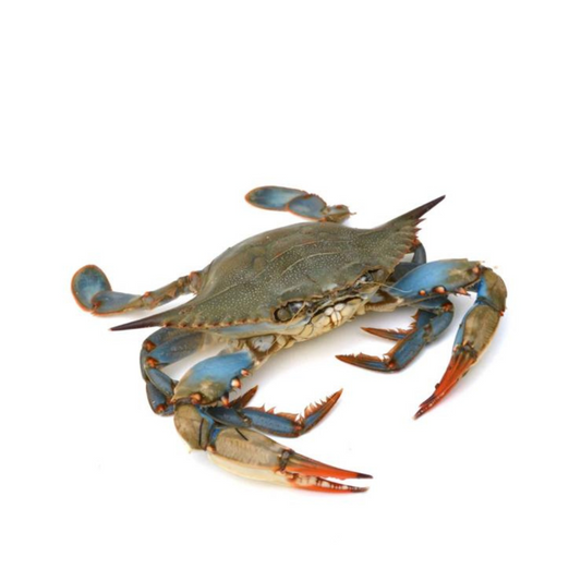 Blue Carb 1Kg