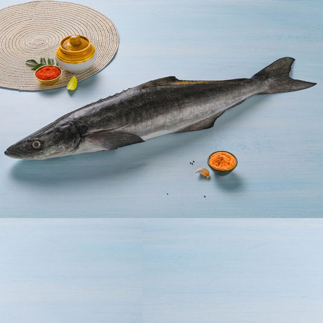 Cobia /Modha 1 Kg