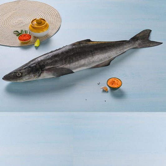 Cobia /Modha 1 Kg